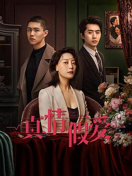 中国大陆连续剧国产剧《真情假爱 真情假爱 Season 1》(2023)[1080P][超清][BT下载]