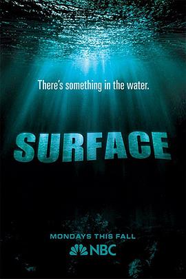 美国连续剧欧美剧《水下之秘 第一季 Surface》(2005)[1080P][超清][BT下载]