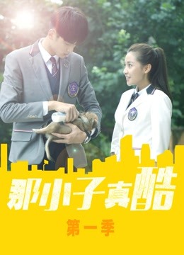 中国大陆连续剧国产剧《那小子真酷 第一季 那小子真酷 Season 1》(2020)[1080P][超清][BT下载]