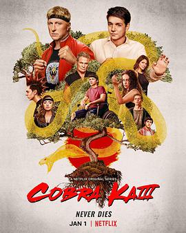 美国连续剧欧美剧《眼镜蛇 第三季 Cobra Kai Season 3》(2020)[1080P][超清][BT下载]