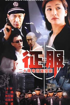 中国大陆连续剧国产剧《征服》(2003)[1080P][超清][BT下载]