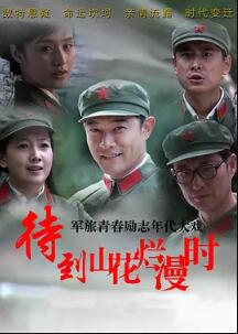 中国大陆连续剧国产剧《待到山花烂漫时》(2014)[1080P][超清][BT下载]