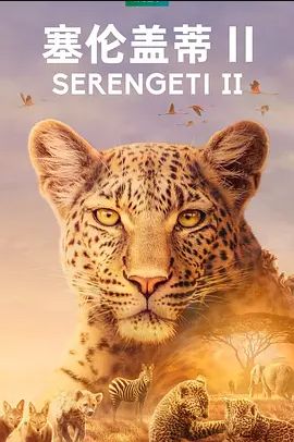 美国连续剧欧美剧《塞伦盖蒂 第二季 Serengeti Season 2》(2021)[1080P][超清][BT下载]