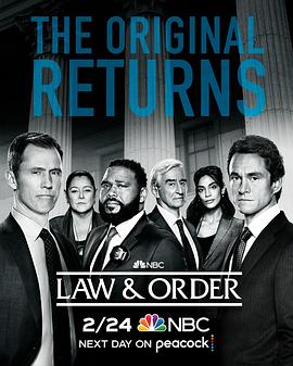 美国连续剧欧美剧《法律与秩序 第二十一季 Law &amp; Order Season 21》(2022)[1080P][超清][BT下载]