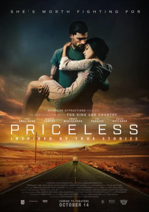 美国电影爱情片《无价 Priceless》(2016)[1080P][超清][BT下载]