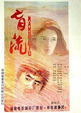 中国大陆电影爱情片《盲流》(1987)[1080P][超清][BT下载]