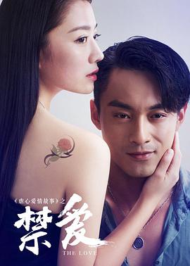 中国大陆电影爱情片《禁爱 금지된 섹스》(2016)[1080P][超清][BT下载]