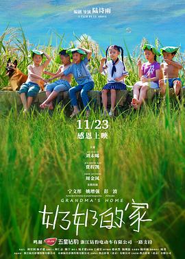 中国大陆电影剧情片《奶奶的家》(2018)[1080P][超清][BT下载]