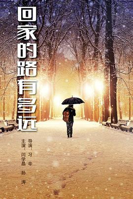 中国大陆连续剧国产剧《回家的路有多远》(2017)[1080P][超清][BT下载]