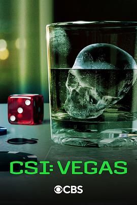 美国连续剧欧美剧《犯罪现场调查 维加斯 第三季 CSI: Vegas Season 3》(2024)[1080P][超清][BT下载]