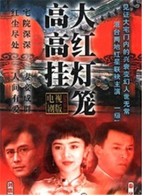 台湾连续剧台剧《大红灯笼高高挂 大紅燈籠高高掛》(1992)[1080P][超清][BT下载]