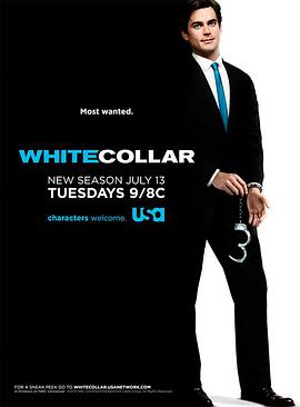 美国连续剧欧美剧《妙警贼探 第二季 White Collar 》(2010)[1080P][超清][BT下载]