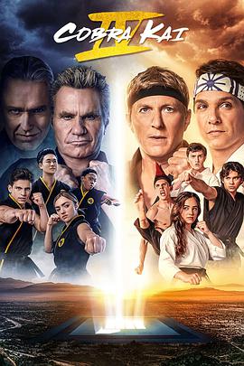 美国连续剧欧美剧《眼镜蛇 四 Cobra Kai Season 4》(2021)[1080P][超清][BT下载]