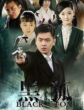 普通话连续剧国产剧《黑狐》(2011)[1080P][超清][BT下载]