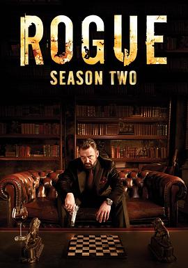 加拿大连续剧欧美剧《卧底情劫 第二季 Rogue Season 2》(2014)[1080P][超清][BT下载]