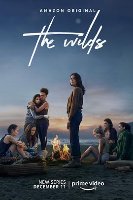 英语连续剧欧美剧《荒野 第一季 The Wilds Season 1》(2020)[1080P][超清][BT下载]