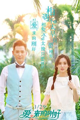 中国大陆连续剧国产剧《爱来的刚好 爱，来的刚好》(2017)[1080P][超清][BT下载]