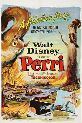 美国电影爱情片《小松鼠 Perri》(1957)[1080P][超清][BT下载]