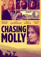 美国电影喜剧片《莫莉快跑 Chasing Molly》[1080P][超清][BT下载]