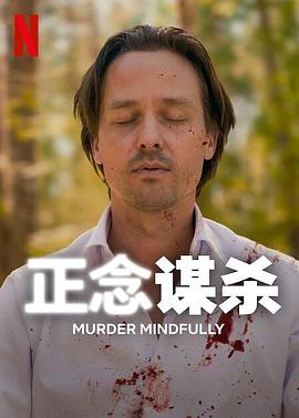 德国连续剧欧美剧《正念谋杀 Achtsam Morden》(2024)[1080P][超清][BT下载]