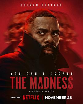 美国连续剧欧美剧《狂乱世道 The Madness》(2024)[1080P][超清][BT下载]