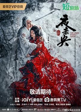 中国大陆连续剧国产剧《夜未央》(2024)[1080P][超清][BT下载]