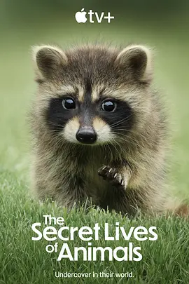 美国电影纪录片《动物的秘密生活 The Secret Lives of Animals》(2024)[1080P][超清][BT下载]