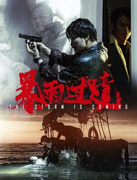 中国大陆电影剧情片《暴雨过境》(2023)[1080P][超清][BT下载]