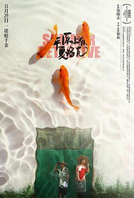 中国大陆电影剧情片《平原上的夏洛克》(2019)[1080P][超清][BT下载]