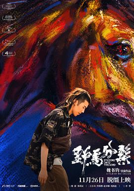 中国大陆电影剧情片《野马分鬃》(2019)[1080P][超清][BT下载]