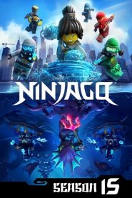 美国动漫《乐高忍者：旋风术大师 第十五季 Ninjago: Masters of Spinjitzu Season 10》(2022)[1080P][超清][BT下载]