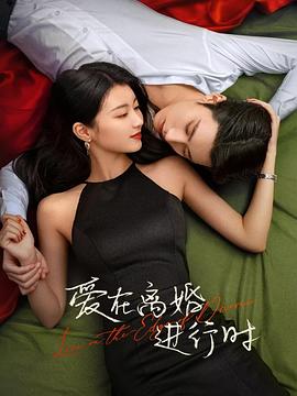 中国大陆连续剧国产剧《爱在离婚进行时》(2025)[1080P][超清][BT下载]