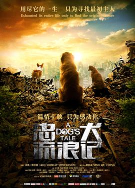 中国大陆电影剧情片《忠犬流浪记》(2021)[1080P][超清][BT下载]