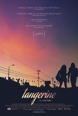 美国电影剧情片《橘色 Tangerine》(2015)[1080P][超清][BT下载]