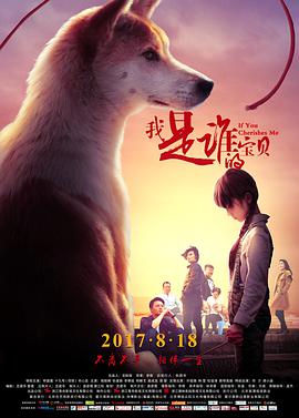 中国大陆电影剧情片《我是谁的宝贝》(2017)[1080P][超清][BT下载]