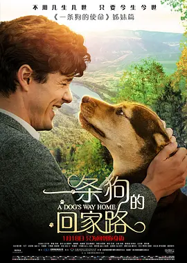 中国大陆电影剧情片《一条狗的回家路 A Dog's Way Home》(2019)[1080P][超清][BT下载]