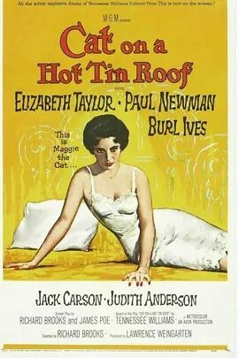 美国电影剧情片《热铁皮屋顶上的猫 Cat on a Hot Tin Roof》(1958)[1080P][超清][BT下载]