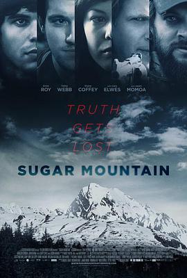 美国电影剧情片《荒野逃生 Sugar Mountain》(2016)[1080P][超清][BT下载]