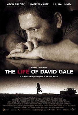 美国电影剧情片《大卫·戈尔的一生 The Life of David Gale》(2003)[1080P][超清][BT下载]