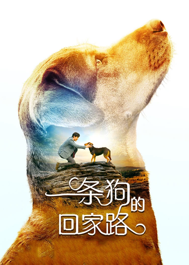 美国电影剧情片《一条狗的回家路(原声版) A Dog's Way Home》(2019)[1080P][超清][BT下载]