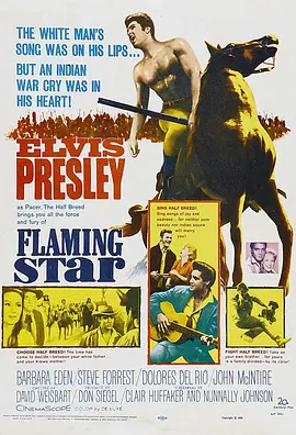 美国电影剧情片《手足英雄 Flaming Star》(1960)[1080P][超清][BT下载]