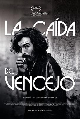 西班牙电影剧情片《雨燕的坠落 La caída del vencejo》(2021)[1080P][超清][BT下载]