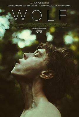 爱尔兰电影剧情片《狼 Wolf》(2021)[1080P][超清][BT下载]