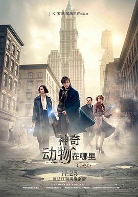 美国电影剧情片《神奇动物在哪里(原声版) Fantastic Beasts and Where to Find Them》(2016)[1080P][超清][BT下载]