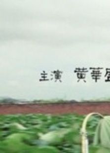 中国大陆电影剧情片《爱你 いま、会いにゆきます》(2004)[1080P][超清][BT下载]