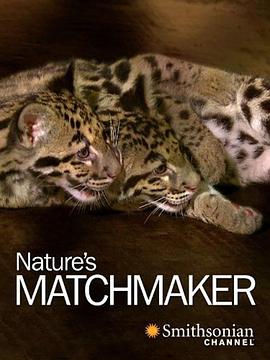 美国电影剧情片《自然界的媒人 Nature's Matchmaker》(2011)[1080P][超清][BT下载]