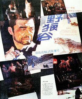 中国大陆电影剧情片《野狼谷》(1989)[1080P][超清][BT下载]