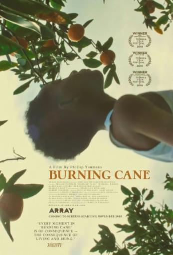 美国电影剧情片《燃烧的甘蔗 Burning Cane》(2019)[1080P][超清][BT下载]