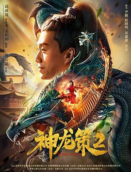 中国大陆电影剧情片《神龙策2》(2019)[1080P][超清][BT下载]