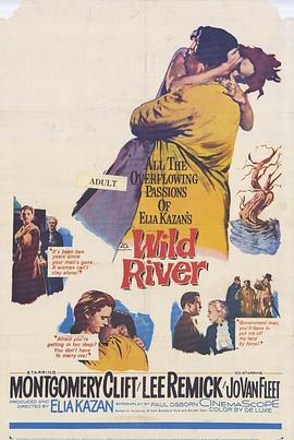 美国电影剧情片《狂澜春醒 Wild River》(1960)[1080P][超清][BT下载]